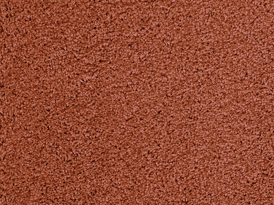 Mochetă Excelsior - ramosdecor