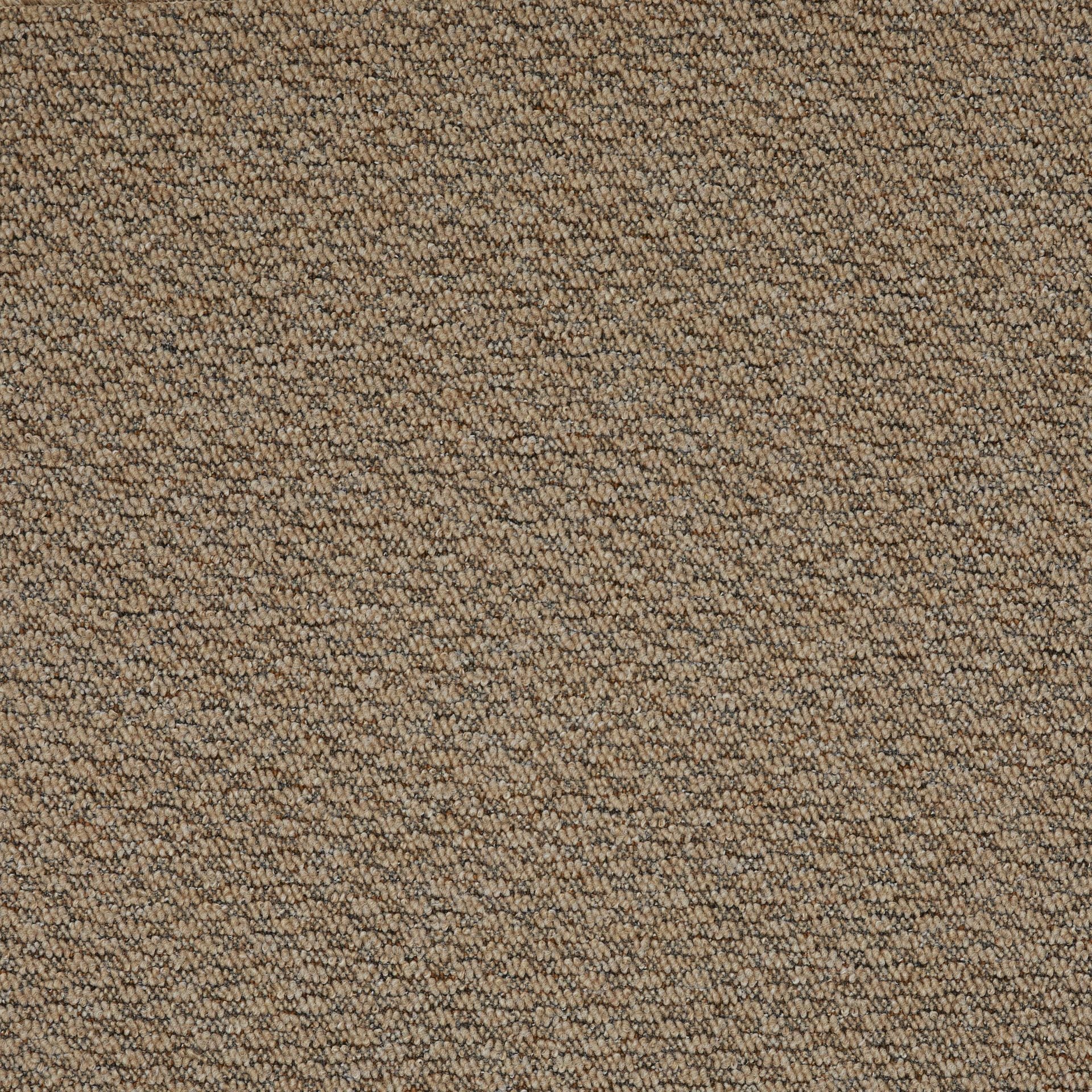 Mochetă Rubens - ramosdecor