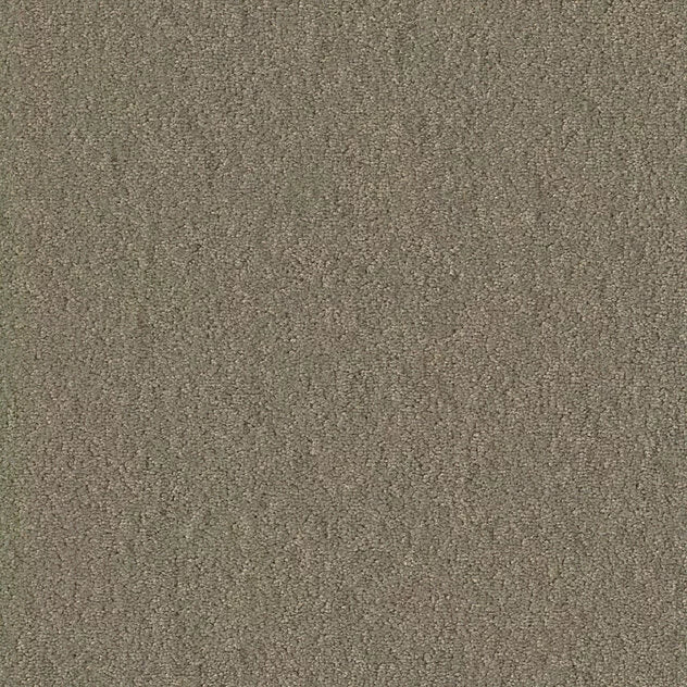 Mochetă Chiffon Pearl - ramosdecor